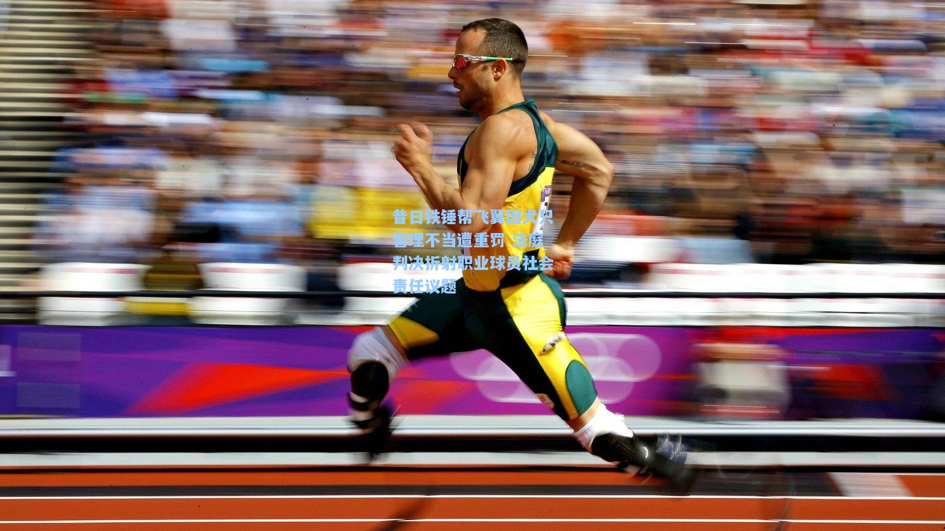 【开云app】昔日铁锤帮飞翼因犬只管理不当遭重罚 法庭判决折射职业球员社会责任议题