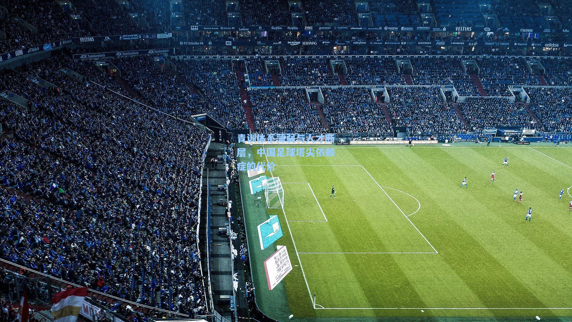 青训体系薄弱与人才断层,中国足球塔尖依赖症的代价